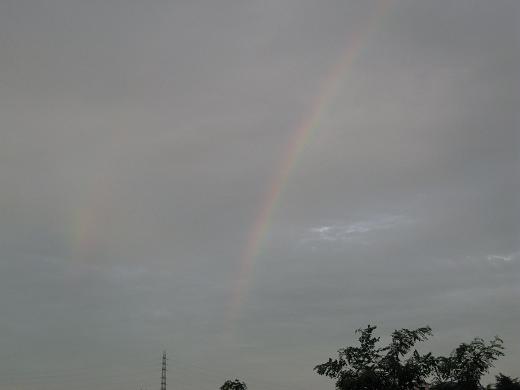 b0109220_2348585.jpg