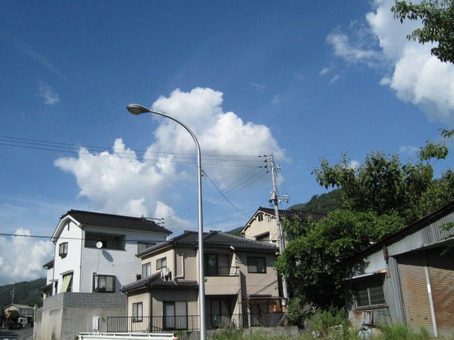 c0197220_1432644.jpg