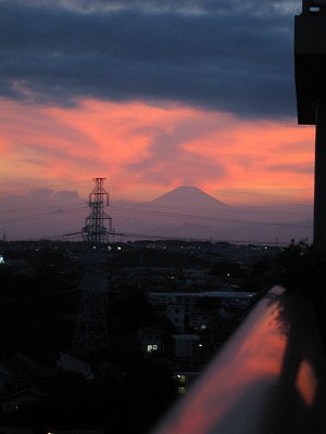 a0111621_198060.jpg