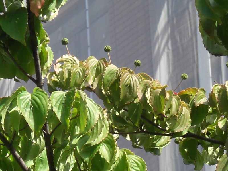 d0136122_1244149.jpg