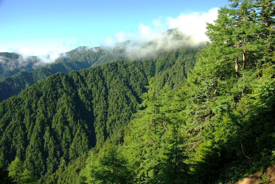 b0062024_1039991.jpg