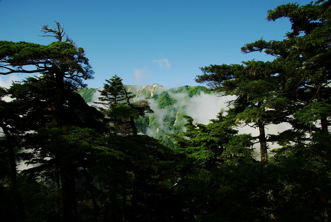 b0062024_10545836.jpg