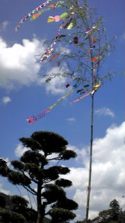 c0169024_13393865.jpg