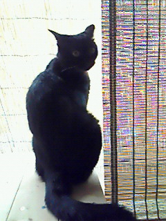 b0094025_2135327.jpg
