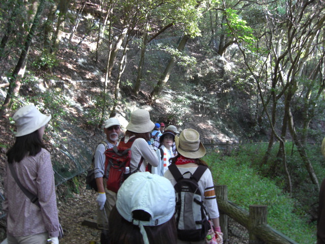 f0009128_22212778.jpg