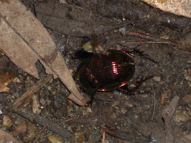 f0009128_2222421.jpg