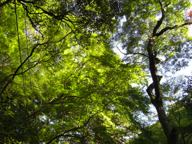 f0009128_2224108.jpg