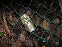 f0009128_22592147.jpg