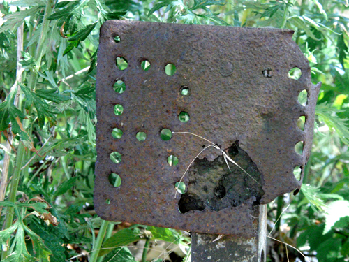 f0180529_349731.jpg