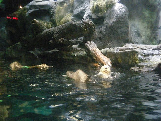 b0127531_13295826.jpg