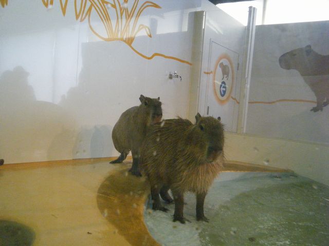 b0127531_1494933.jpg