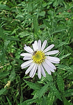 f0161834_23272196.jpg
