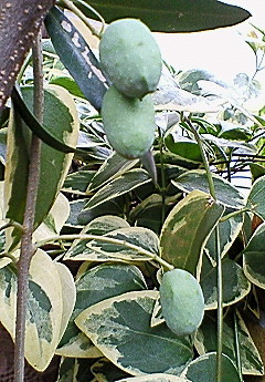 f0161834_23321233.jpg