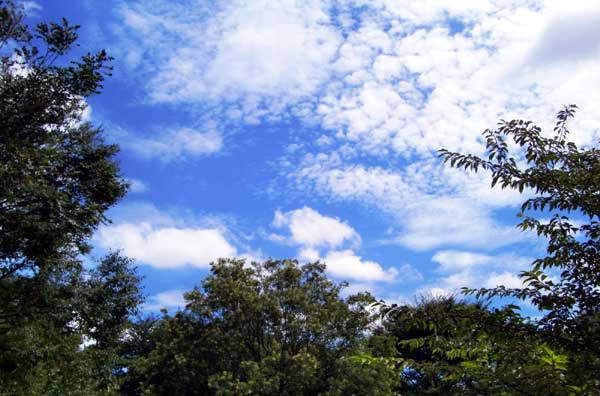a0009035_8314847.jpg