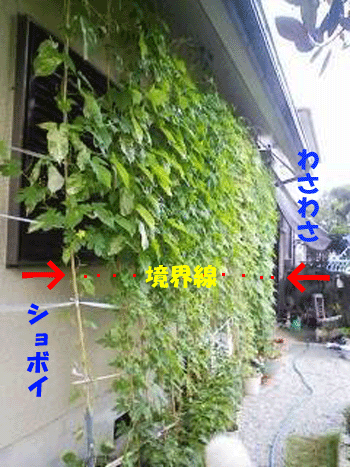 f0008935_2131785.gif