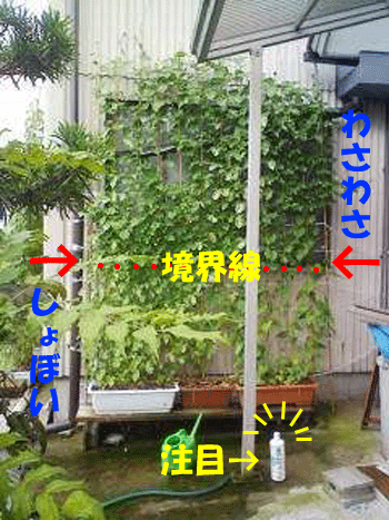 f0008935_2135143.gif