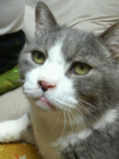 f0008935_22963.jpg