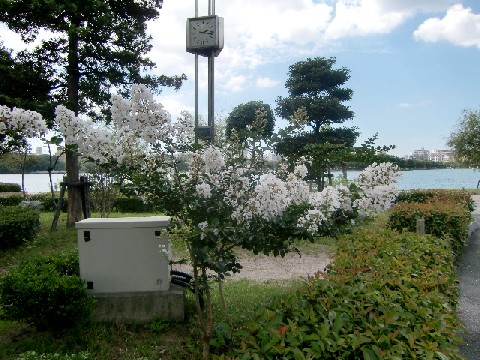 b0012636_1652676.jpg