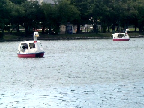 b0012636_16532957.jpg