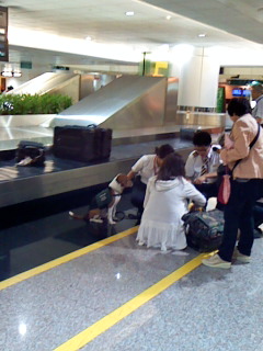 d0060038_18121516.jpg