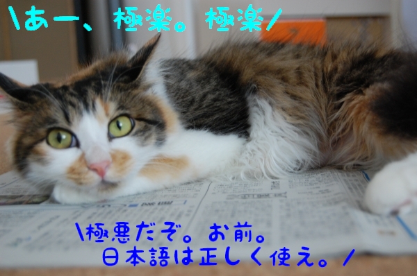 c0181639_20291277.jpg