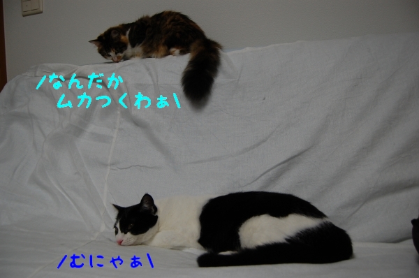 c0181639_20292352.jpg