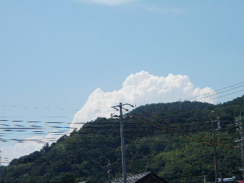a0054240_20505764.jpg