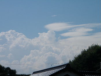 a0054240_2052321.jpg