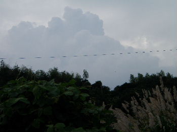 a0054240_205319100.jpg