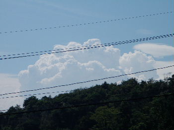 a0054240_2055633.jpg