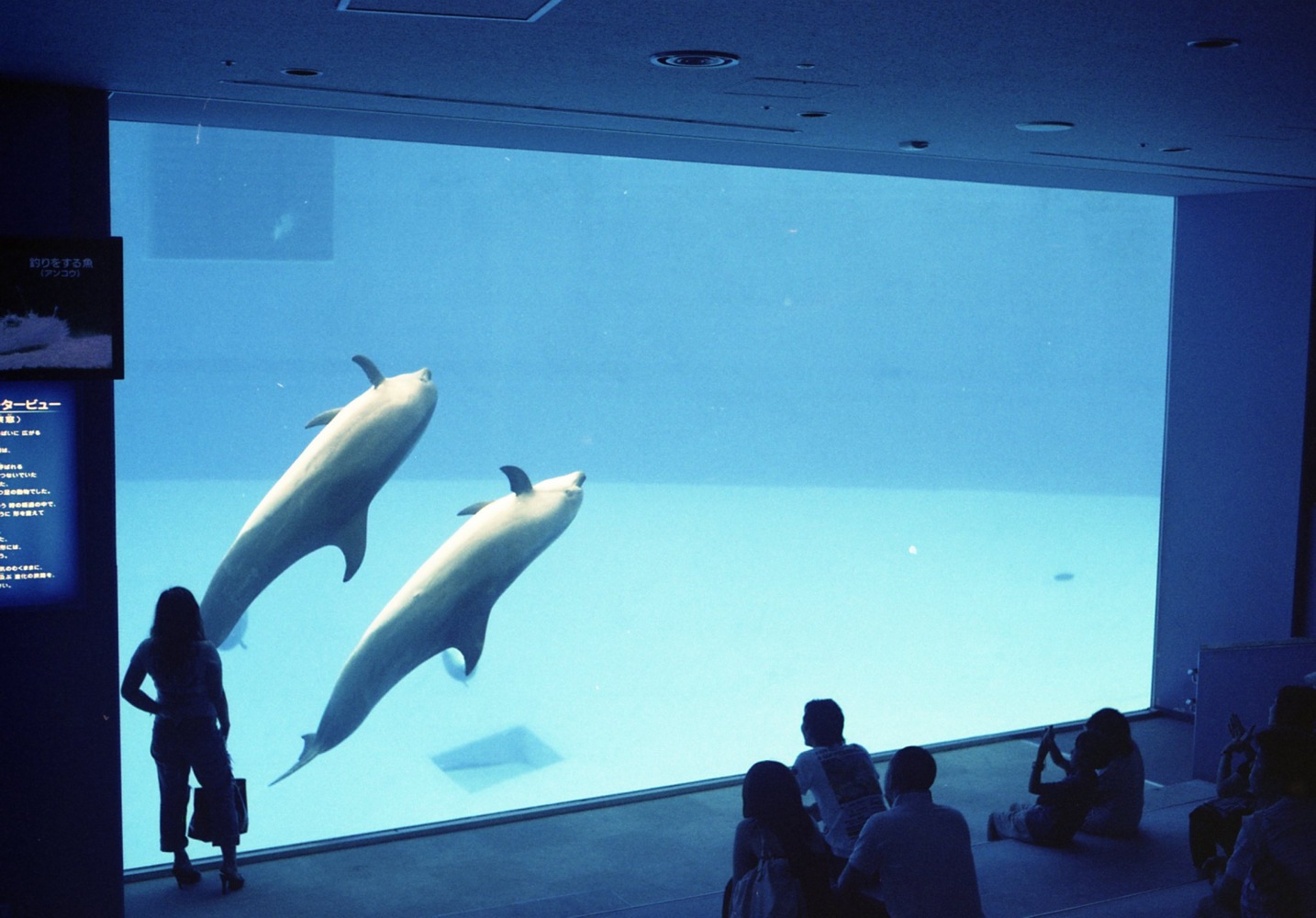 d0089742_1173551.jpg