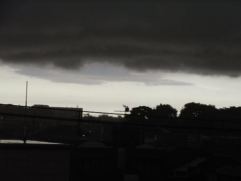 d0047944_16593020.jpg