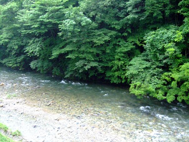 d0023346_11562611.jpg