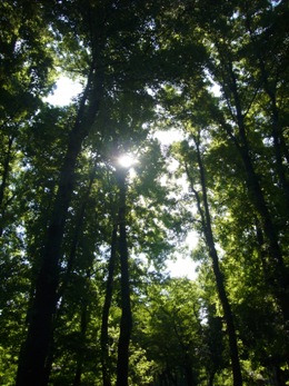 e0100046_2334063.jpg