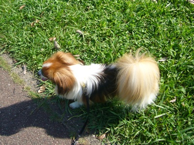 e0100046_2337238.jpg