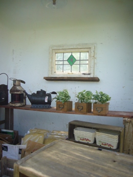 e0100046_23554616.jpg