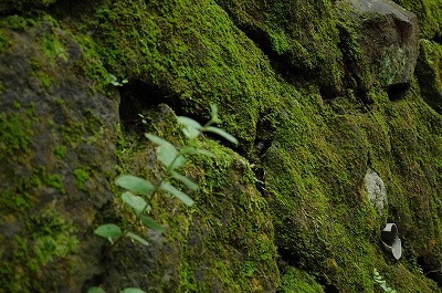 a0138449_22375596.jpg