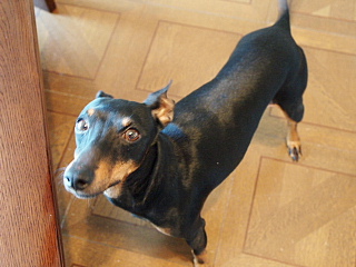 c0123149_1044037.jpg