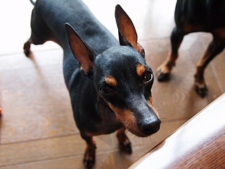 c0123149_1045410.jpg