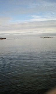 e0150849_22552415.jpg