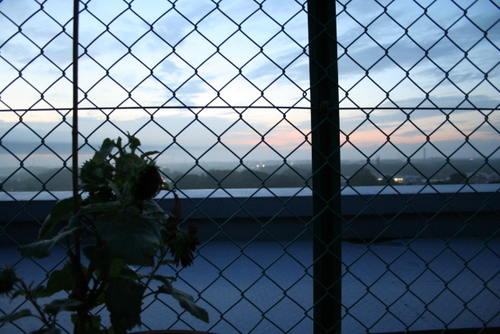 a0048851_44819100.jpg