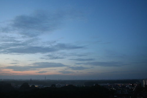 a0048851_448889.jpg