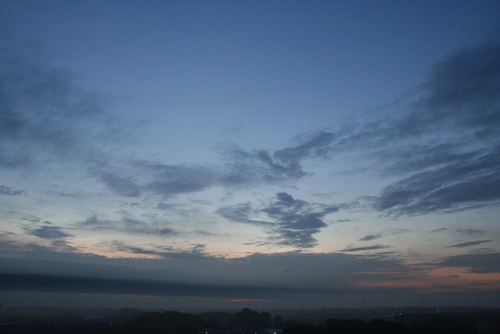 a0048851_449156.jpg
