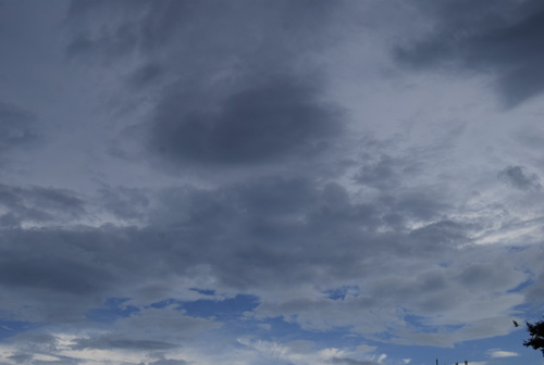 e0140459_15342460.jpg