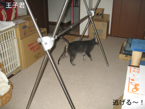 e0057361_14554036.jpg