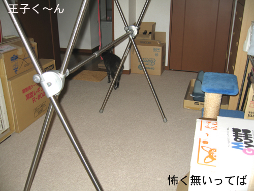 e0057361_1511631.jpg