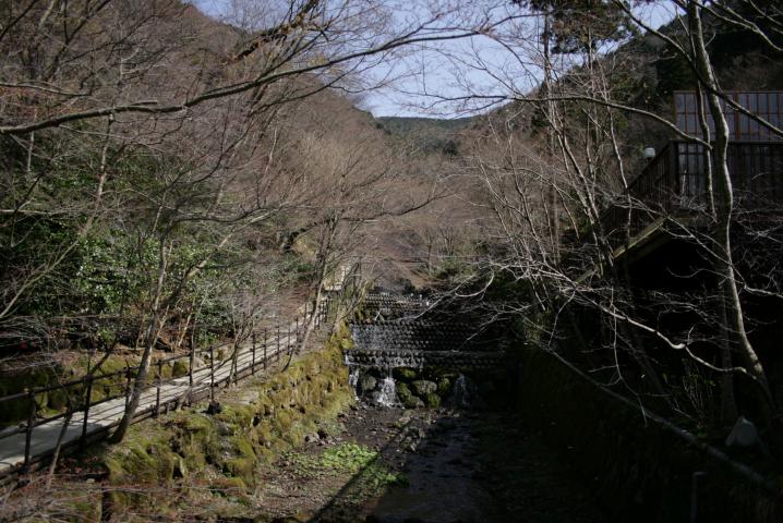e0111363_1181858.jpg