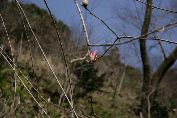 e0111363_1183736.jpg