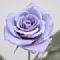 b0031166_1492496.jpg