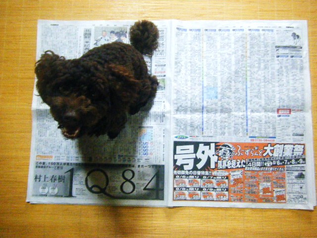 f0207970_1032167.jpg